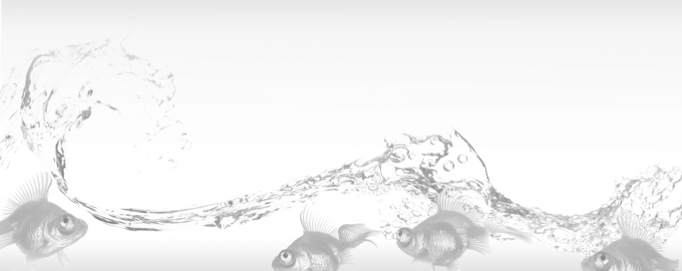 top recruiting firms | executive recruiting